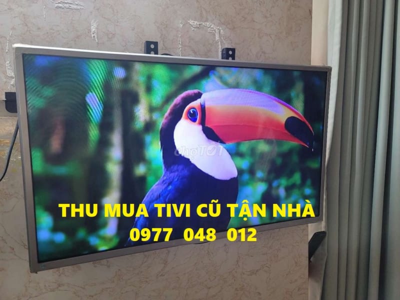 thu mua tivi cũ hải phòng tại nhà - đồ cũ Tùng Lâm 0977048012 - chodocuhaiphong.com.vn